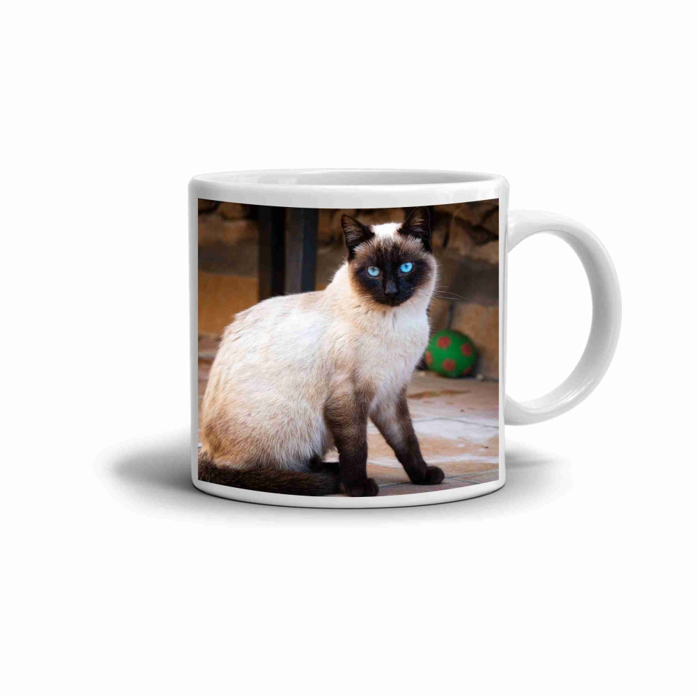 Biely keramický hrnček 330ml s obrázkom - siamská mačka