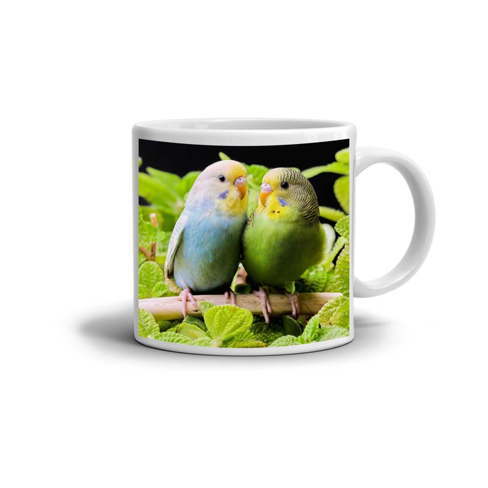 Biely keramický hrnček 330ml s obrázkom - zamilované andulky