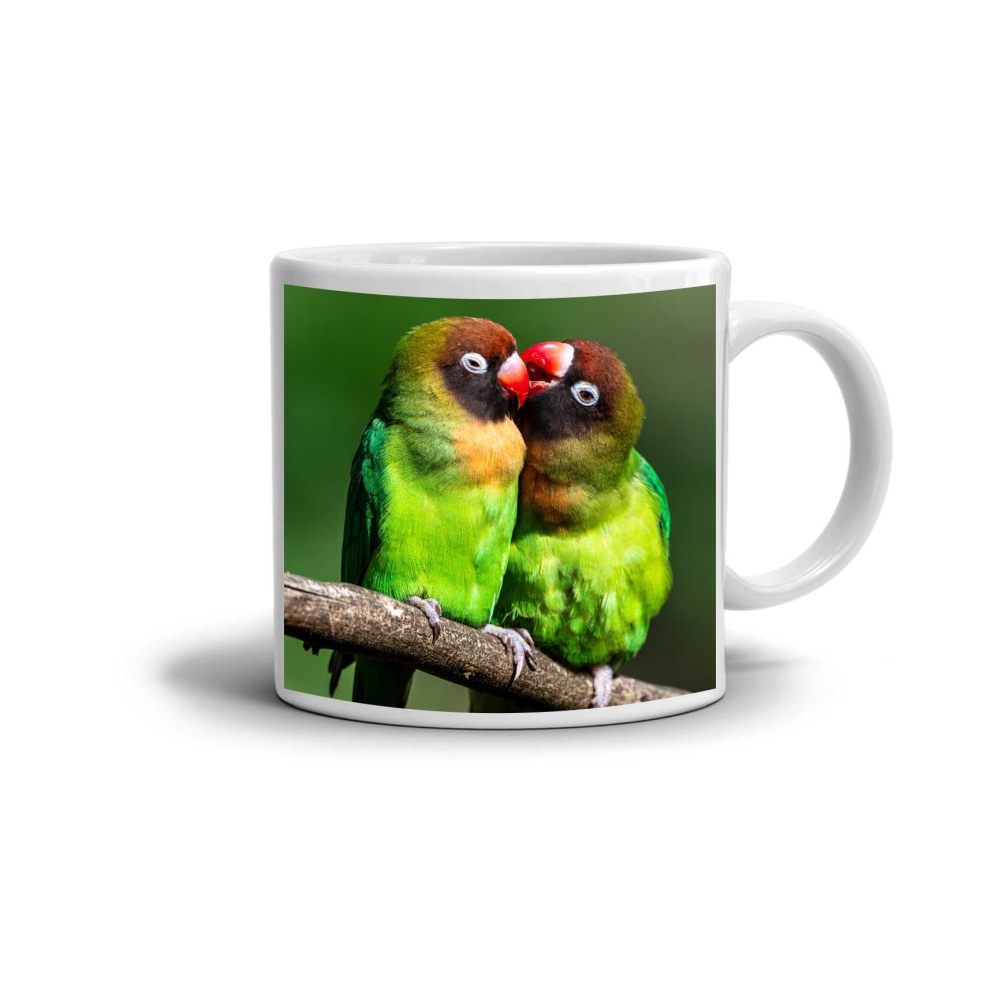 Biely keramický hrnček 330ml s obrázkom - zamilovaní agapornisové