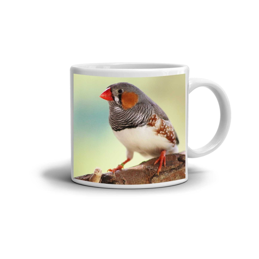 Biely keramický hrnček 330ml s obrázkom - zebrička pestrá