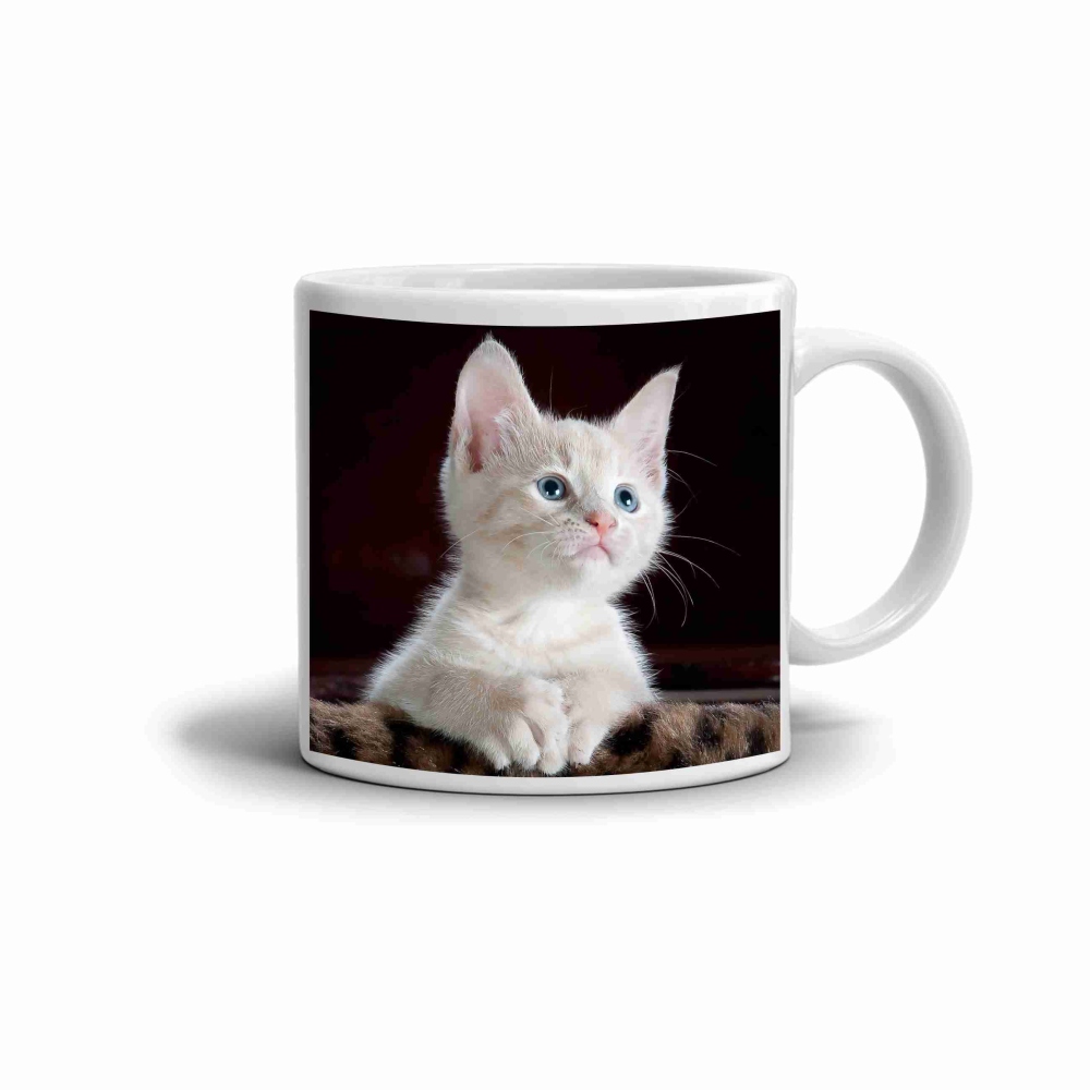 Biely keramický hrnček 330ml s obrázkom - zvedavé mačiatko