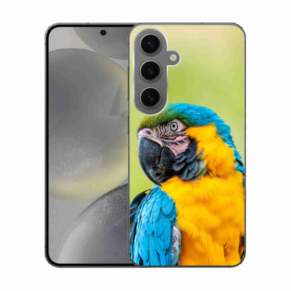 Gélový obal mmCase na Samsung Galaxy S24 - papagáj ara 2