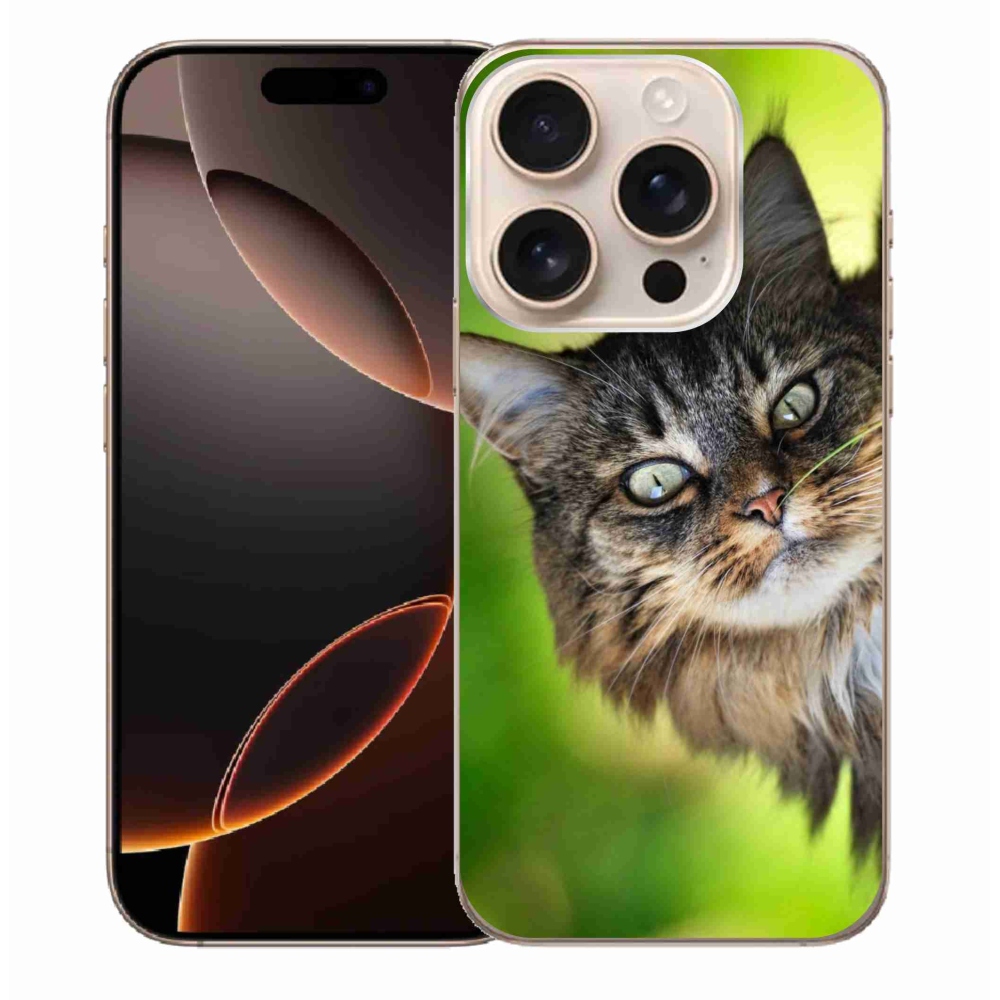 Gélový kryt mmCase na iPhone 16 Pro Max - mačka 3