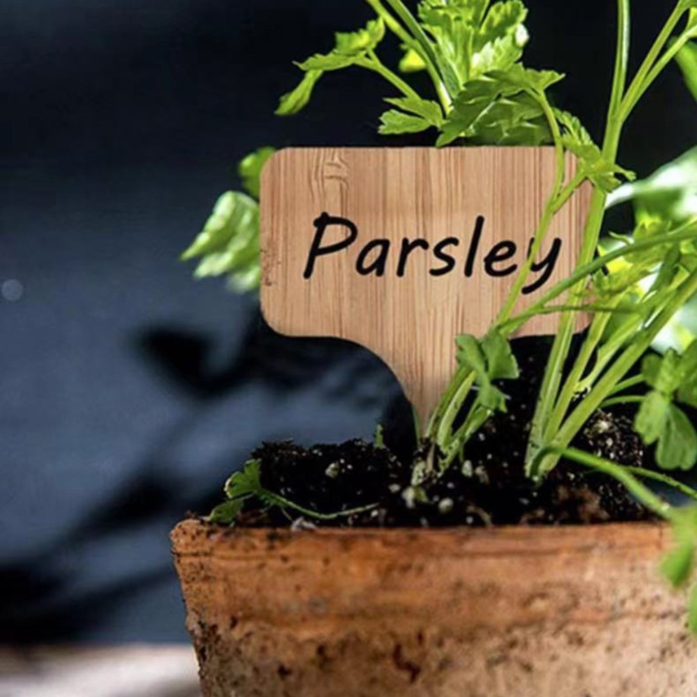 Súprava drevených záhradných menoviek k rastlinám 10 ks