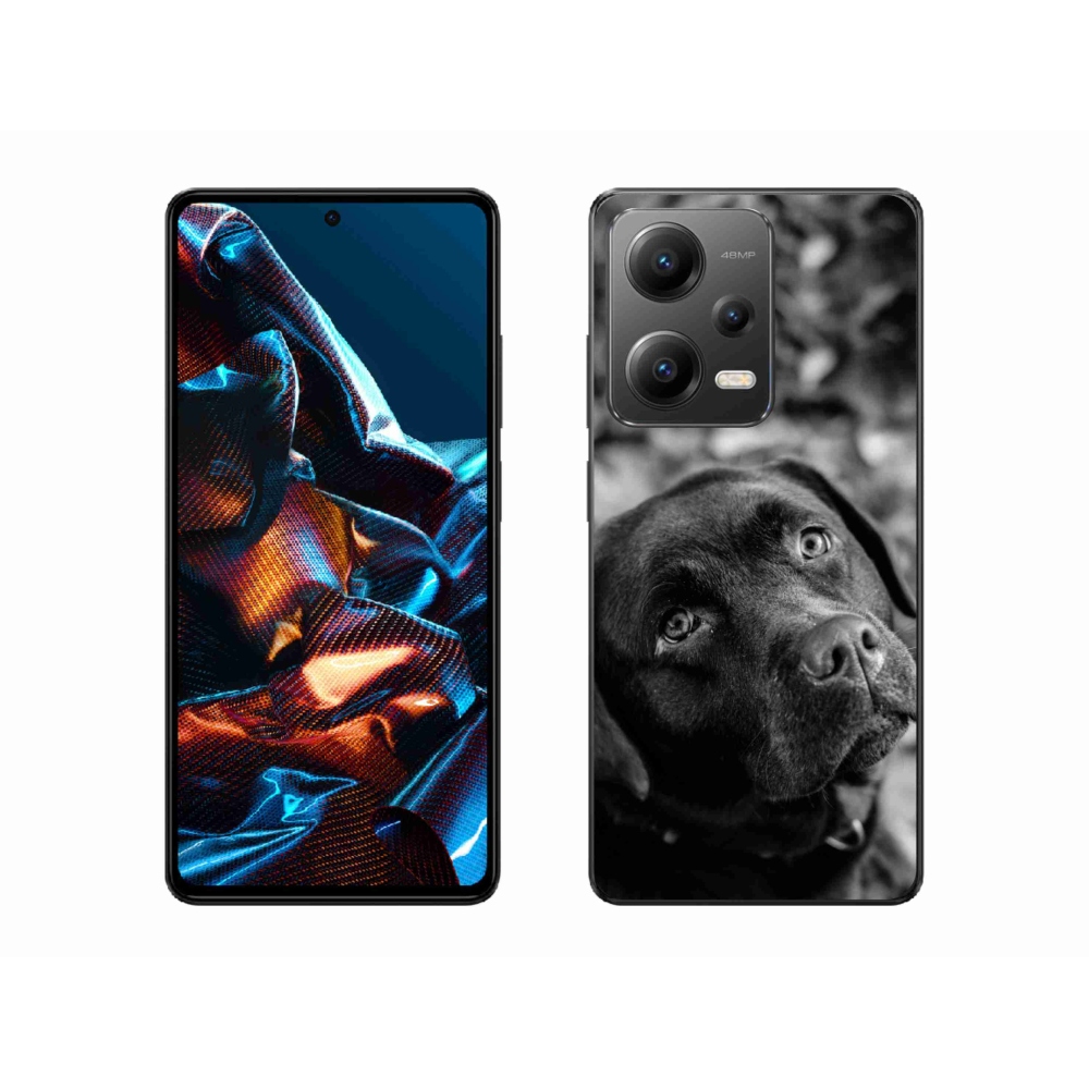 Gélový obal mmCase na mobil Xiaomi Redmi Note 12 Pro 5G - labrador