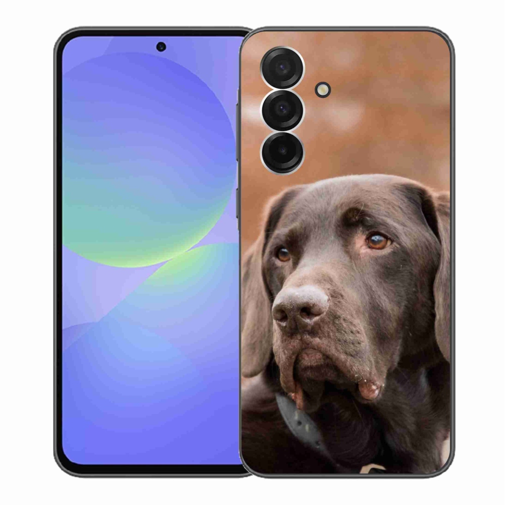 Gélový kryt mmCase na Samsung Galaxy A36 5G - hnedý labrador