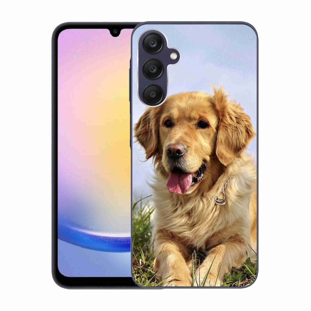 Gélový obal mmCase na Samsung Galaxy A25 5G - zlatý retriever