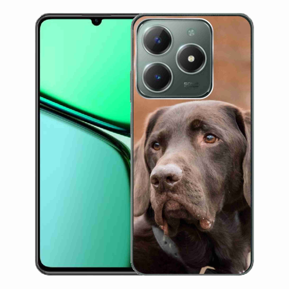 Gélový obal mmCase na Realme C61 - hnedý labrador