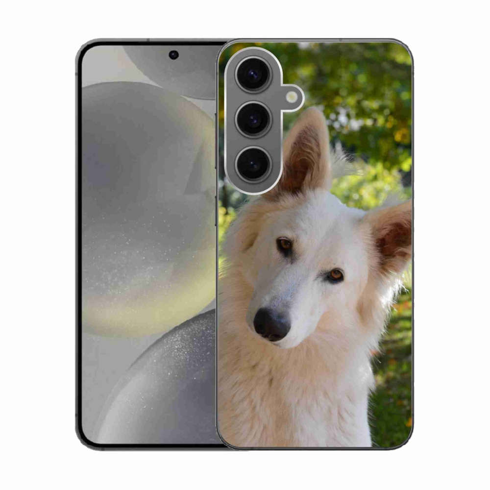 Gélový kryt mmCase na Samsung Galaxy S24 - biely švajčiarsky ovčiak 1
