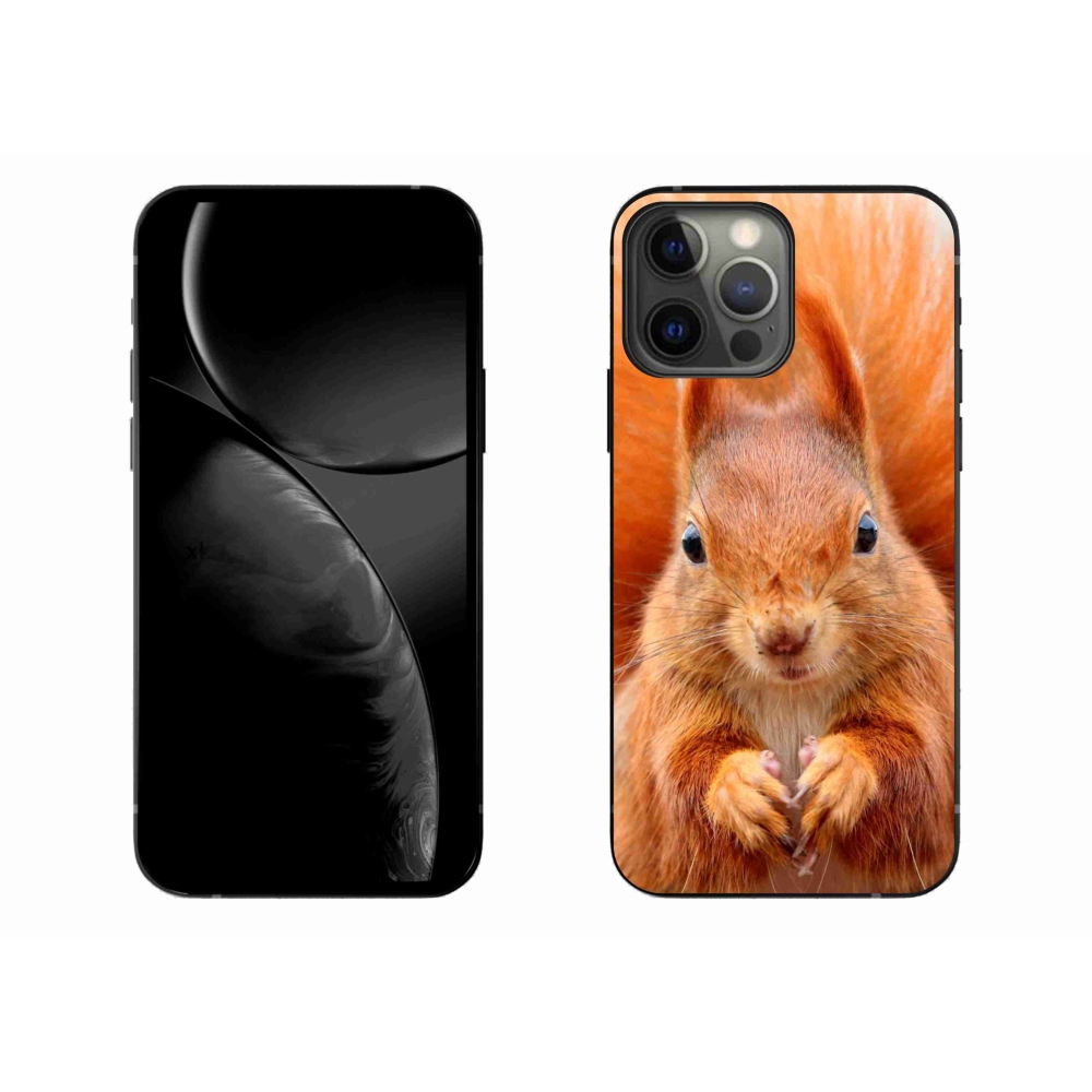 Gélový kryt mmCase na iPhone 13 Pro Max 6.7 - veverička