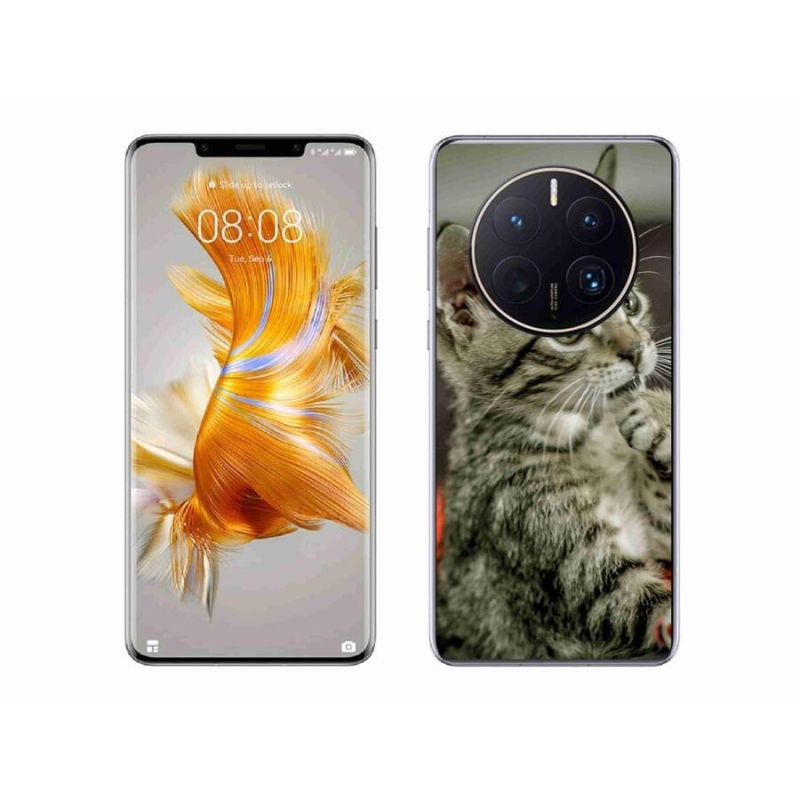 Gélové puzdro mmCase na mobil Huawei Mate 50 Pro - roztomilá mačka