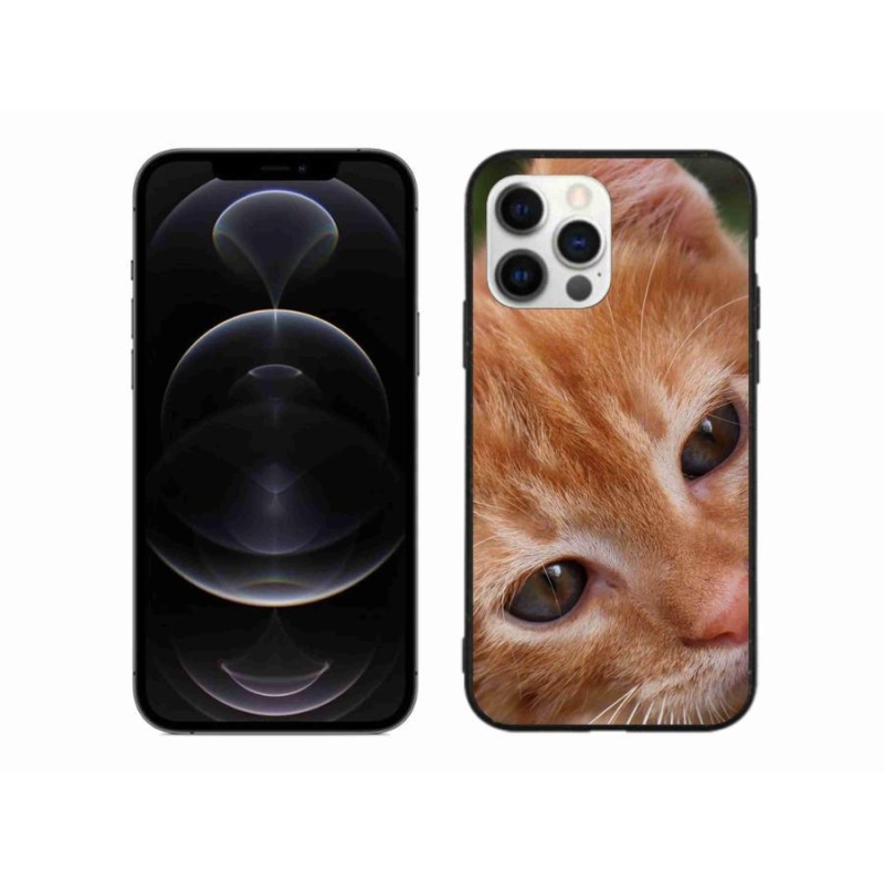 Gélové puzdro mmCase na mobil iPhone 12 Pro Max - ryšavé mačiatko