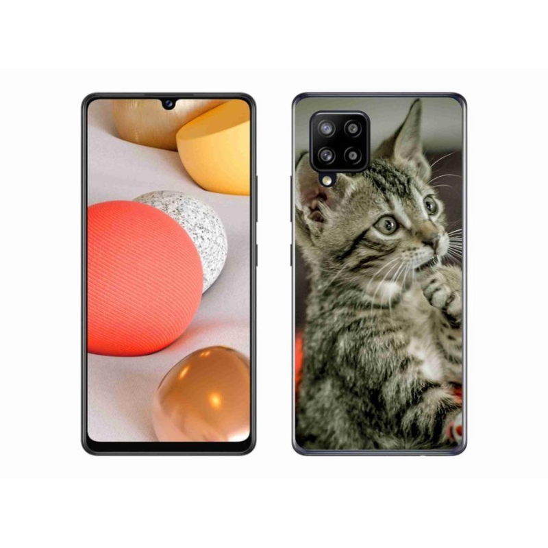 Gélové puzdro mmCase na mobil Samsung Galaxy A42 5G - roztomilá mačka