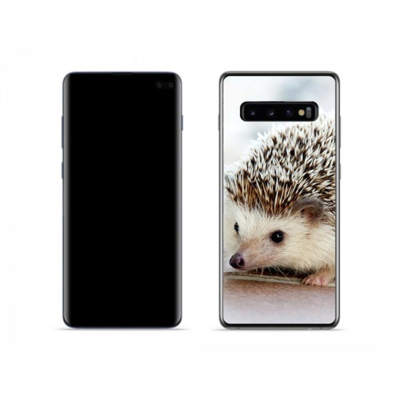 Gélové puzdro mmCase na mobil Samsung Galaxy S10 - ježko