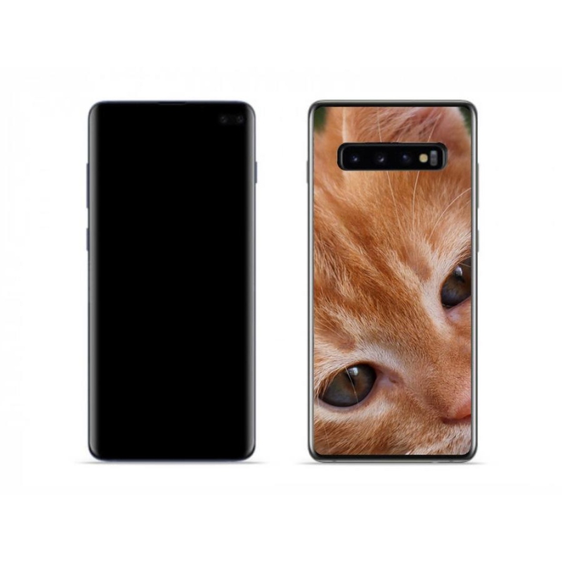 Gélové puzdro mmCase na mobil Samsung Galaxy S10 - ryšavé mačiatko