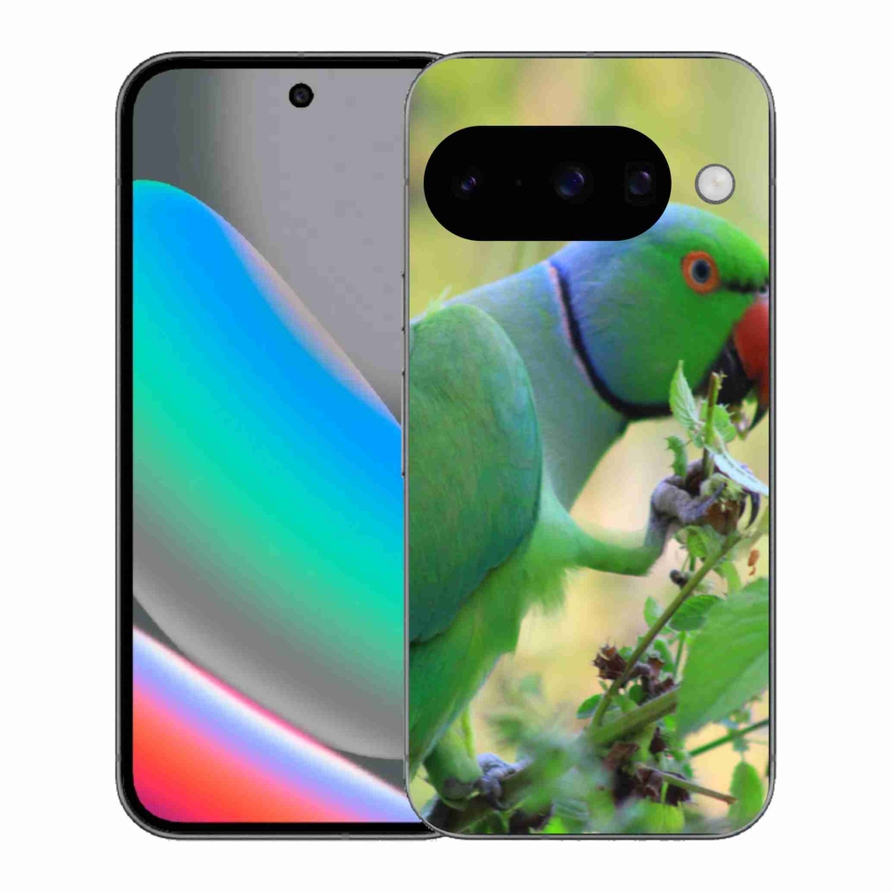 Gélový kryt mmCase na Google Pixel 10 - papagáj Alexandr