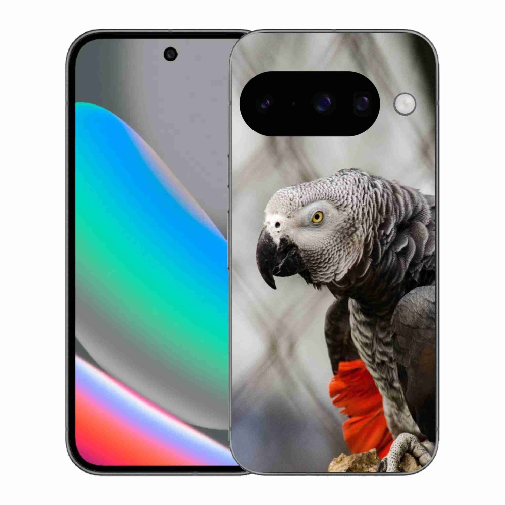 Gélový kryt mmCase na Google Pixel 10 - papagáj žako 3