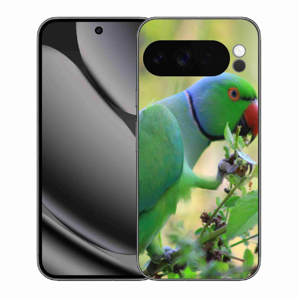 Gélový kryt mmCase na Google Pixel 10 Pro XL - papagáj Alexandr