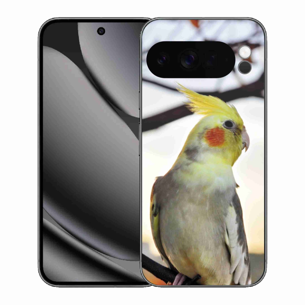 Gélový kryt mmCase na Google Pixel 10 Pro XL - papagáj korela
