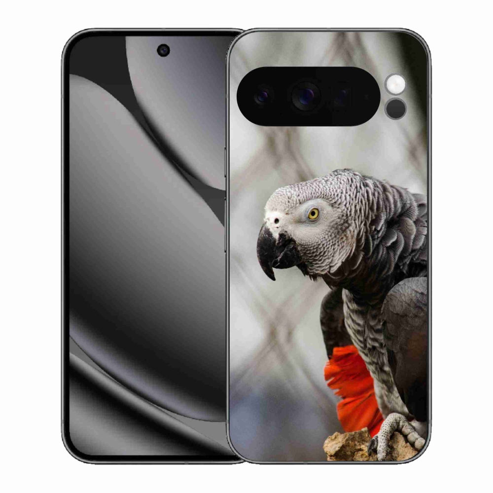 Gélový kryt mmCase na Google Pixel 10 Pro XL - papagáj žako 3