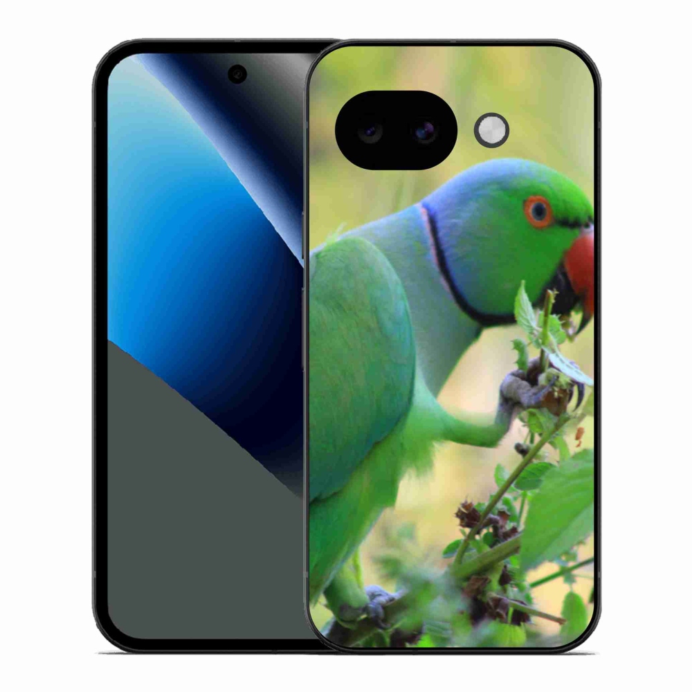 Gélový kryt mmCase na Google Pixel 10a - papagáj Alexandr