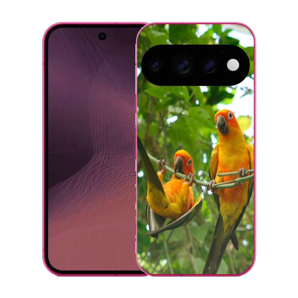 Gélový kryt mmCase na Google Pixel 11 - papagáje aratingy