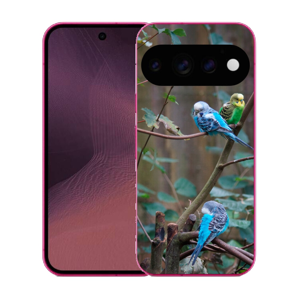 Gélový kryt mmCase na Google Pixel 11 - papagáje na vetve