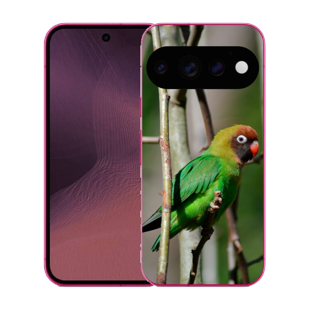 Gélový kryt mmCase na Google Pixel 11 - papagáj agapornis