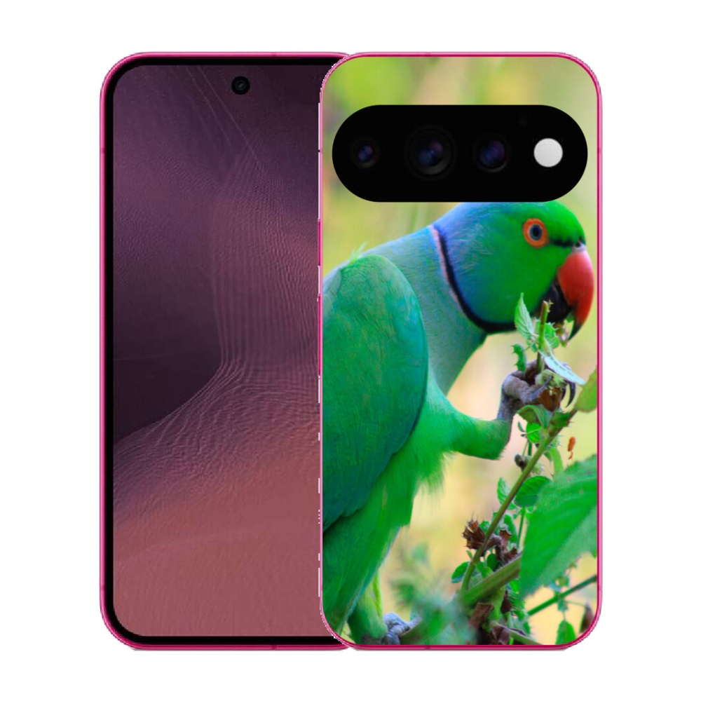 Gélový kryt mmCase na Google Pixel 11 - papagáj Alexandr