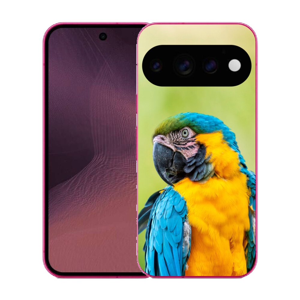 Gélový kryt mmCase na Google Pixel 11 - papagáj ara 2