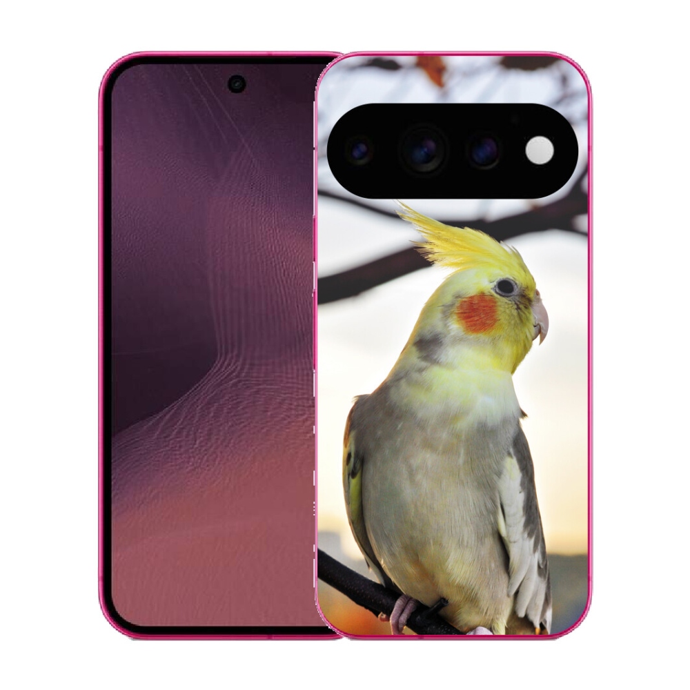 Gélový kryt mmCase na Google Pixel 11 - papagáj korela