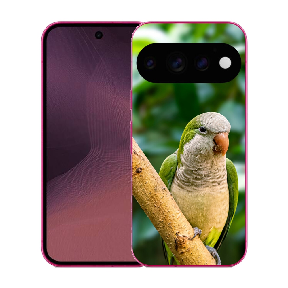 Gélový kryt mmCase na Google Pixel 11 - papagáj mníšok