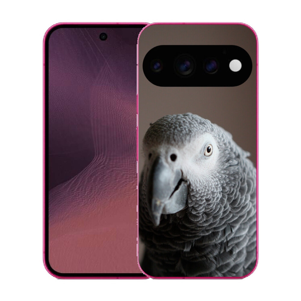 Gélový kryt mmCase na Google Pixel 11 - papagáj žako 2