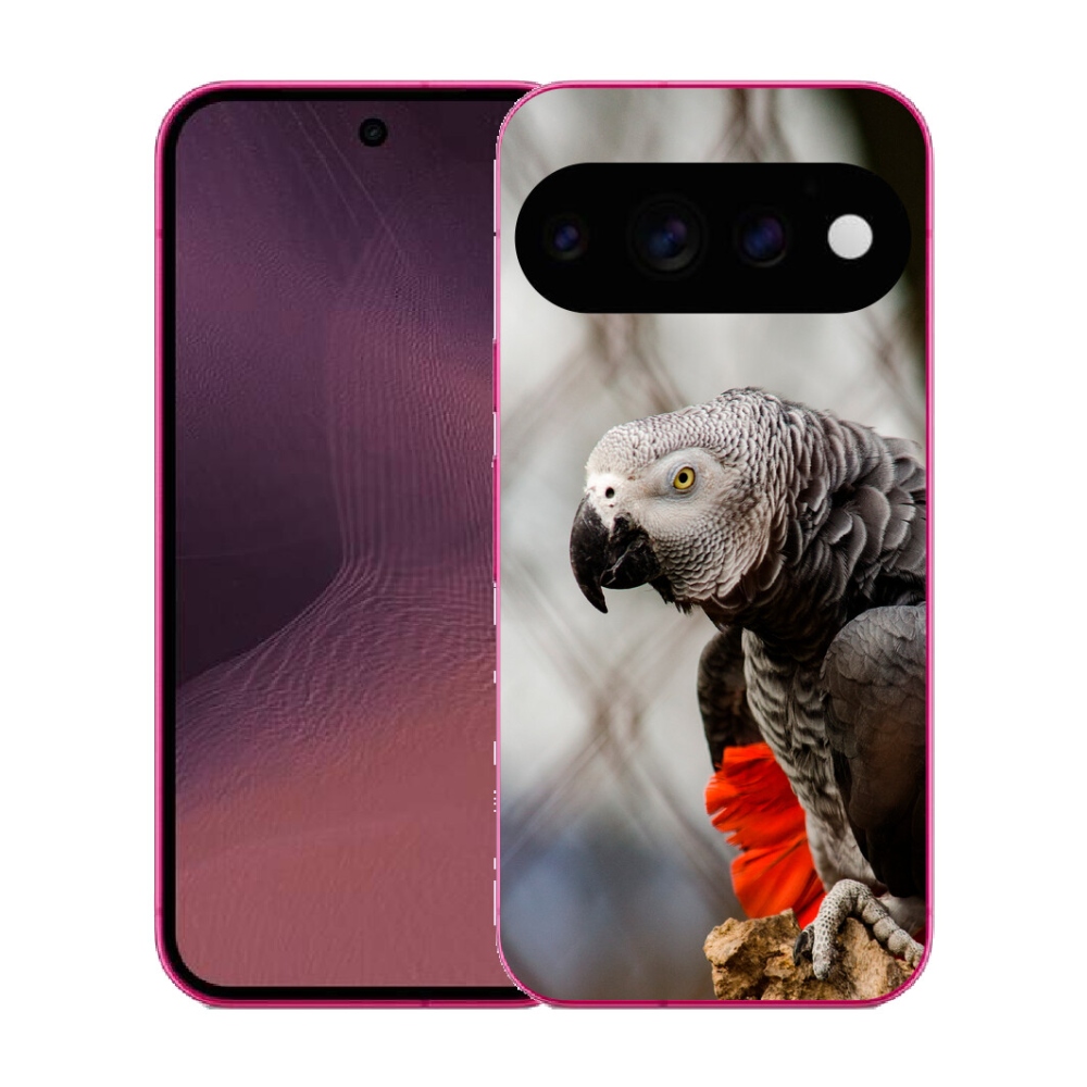 Gélový kryt mmCase na Google Pixel 11 - papagáj žako 3