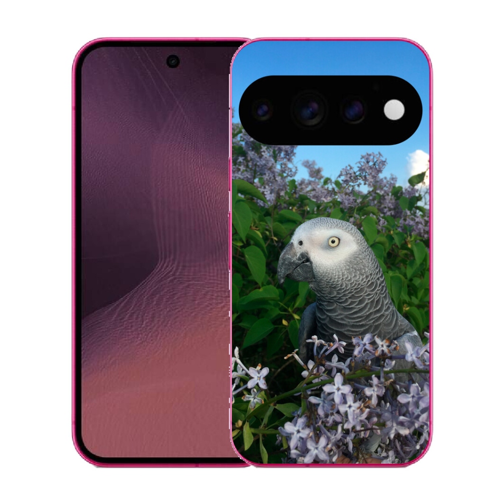Gélový kryt mmCase na Google Pixel 11 - papagáj žako