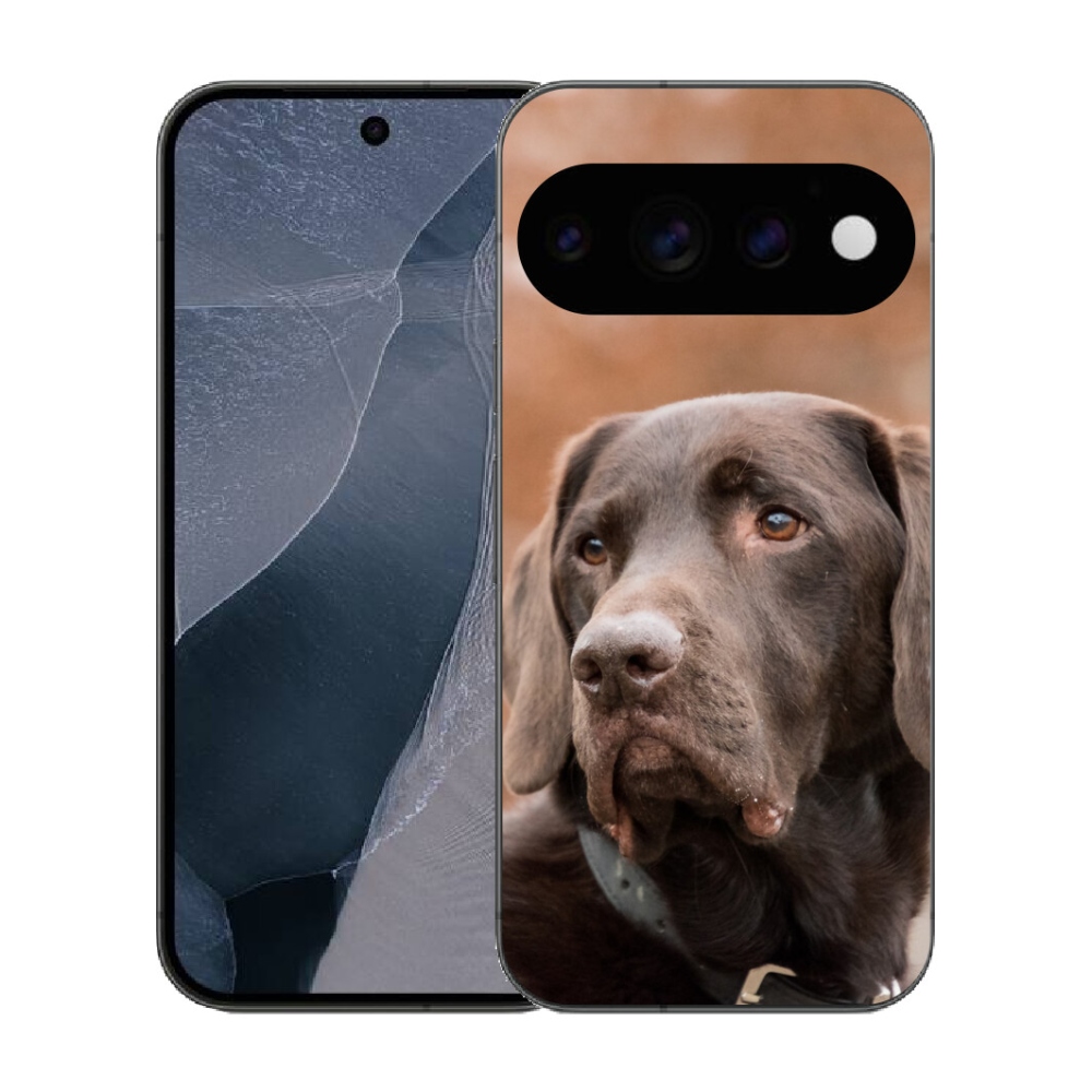 Gélový kryt mmCase na Google Pixel 11 Pro - hnedý labrador