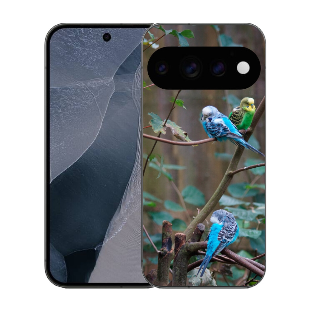 Gélový kryt mmCase na Google Pixel 11 Pro - papagáje na vetve