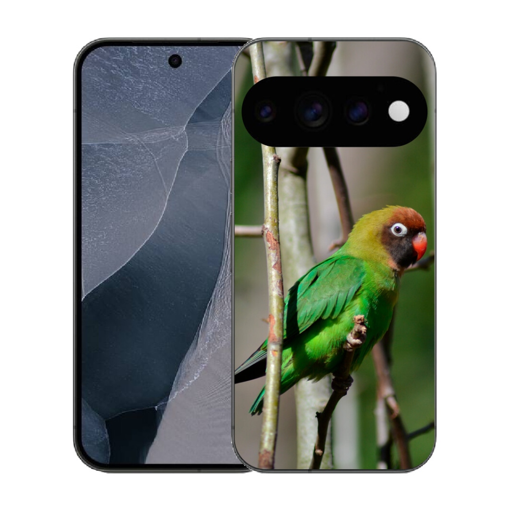 Gélový kryt mmCase na Google Pixel 11 Pro - papagáj agapornis