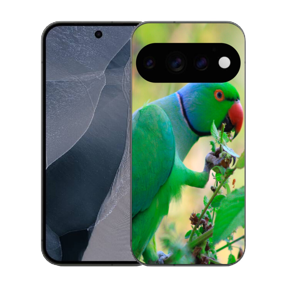 Gélový kryt mmCase na Google Pixel 11 Pro - papagáj Alexandr