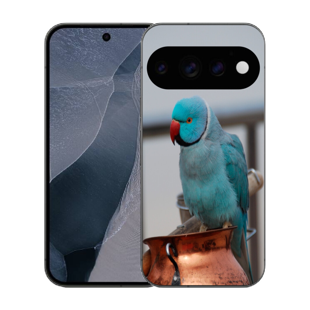 Gélový kryt mmCase na Google Pixel 11 Pro - papagáj alexander modrý