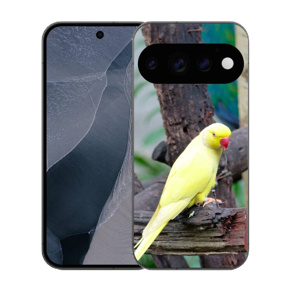Gélový kryt mmCase na Google Pixel 11 Pro - papagáj alexander žltý