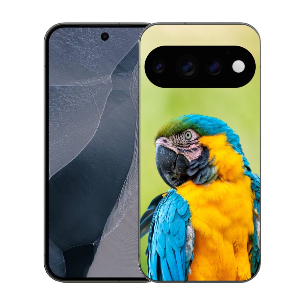 Gélový kryt mmCase na Google Pixel 11 Pro - papagáj ara 2