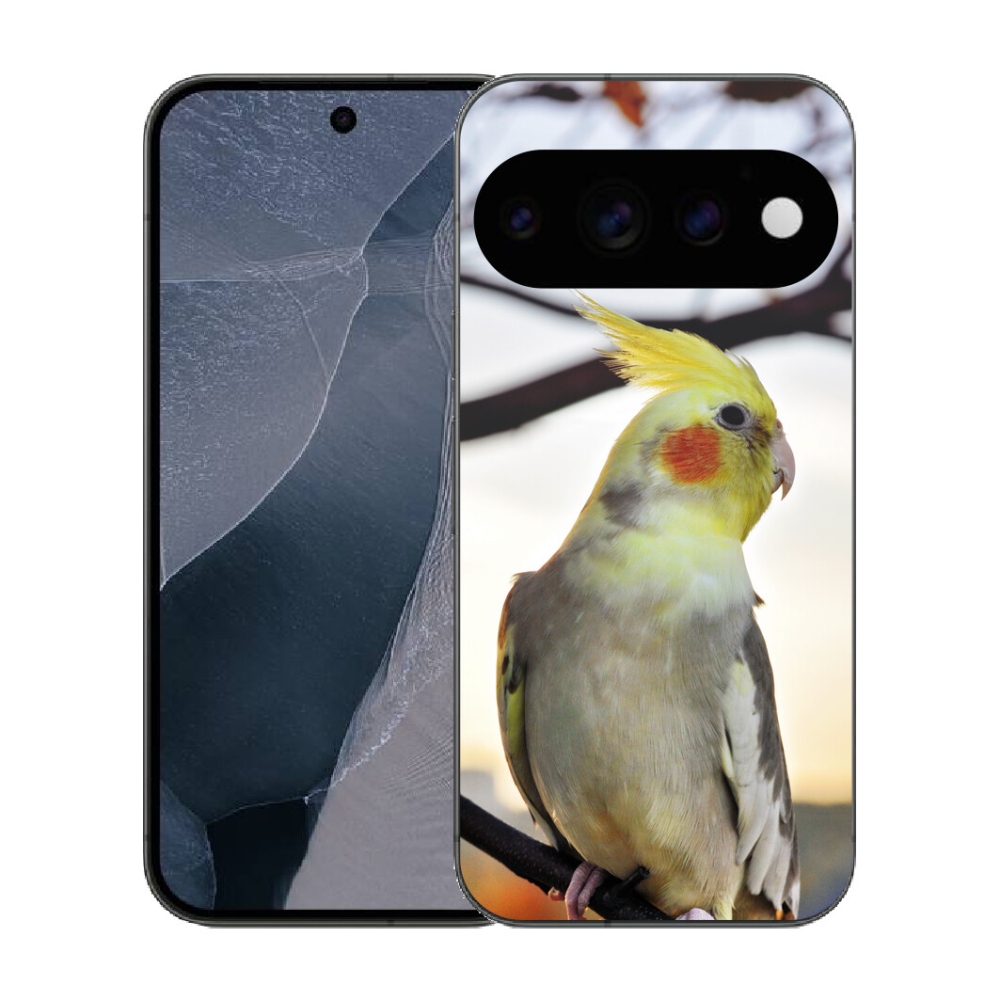 Gélový kryt mmCase na Google Pixel 11 Pro - papagáj korela