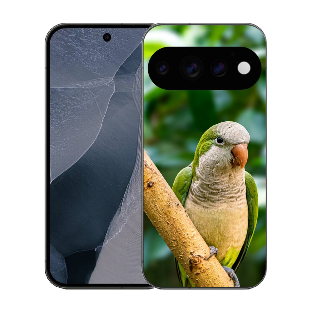 Gélový kryt mmCase na Google Pixel 11 Pro - papagáj mníšok