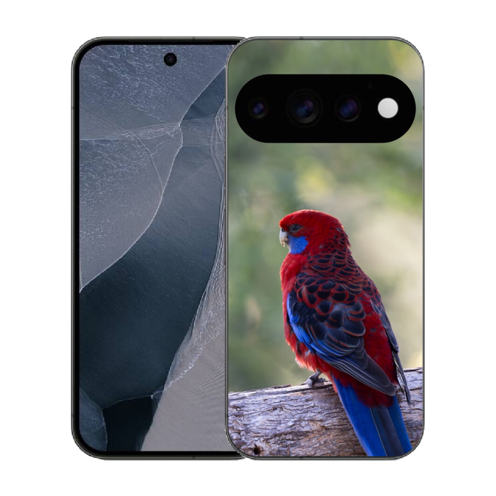 Gélový kryt mmCase na Google Pixel 11 Pro - papagáj rosela