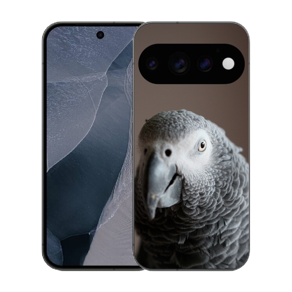 Gélový kryt mmCase na Google Pixel 11 Pro - papagáj žako 2