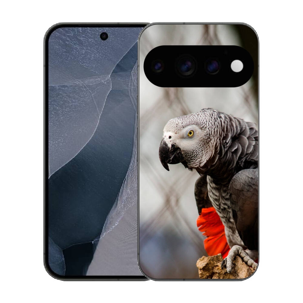 Gélový kryt mmCase na Google Pixel 11 Pro - papagáj žako 3