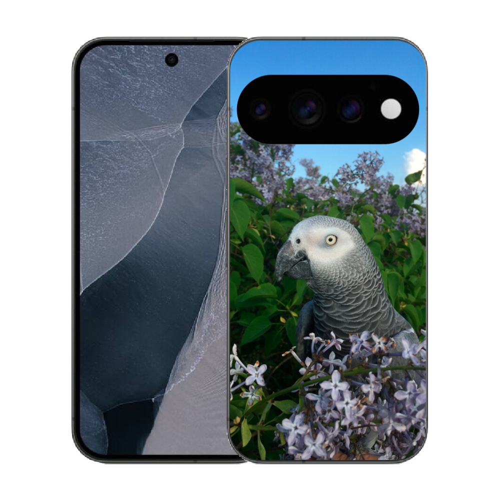 Gélový kryt mmCase na Google Pixel 11 Pro - papagáj žako