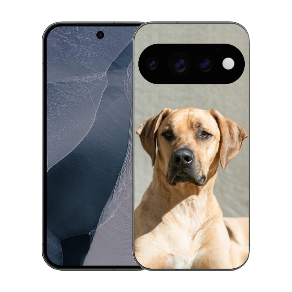 Gélový kryt mmCase na Google Pixel 11 Pro - ridgeback