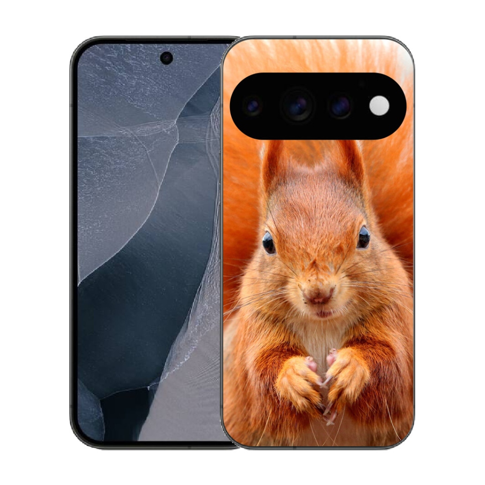 Gélový kryt mmCase na Google Pixel 11 Pro - veverička